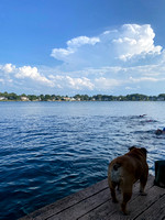 Dan's Swim group
